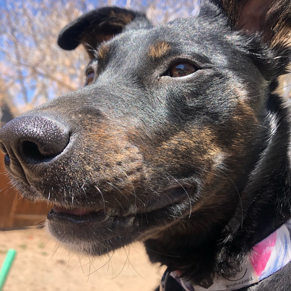 Meet your Posher, Kate